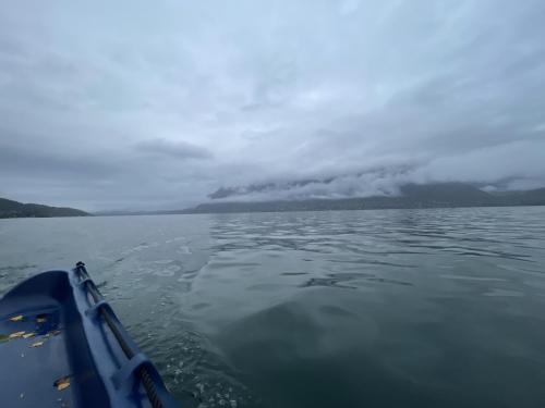 IMG 0733